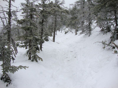 Looking up the Kilkenny Ridge Trail