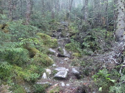 The Kilkenny Ridge Trail to Mt. Cabot