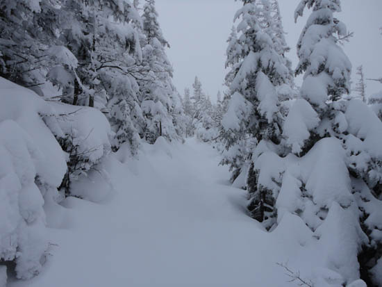 Looking up the Kilkenny Ridge Trail