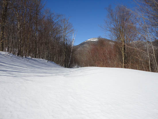 Looking up the Bunnell Notch Trail