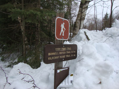The York Pond Trail trailhead