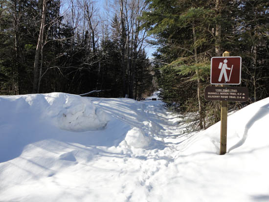 The York Pond Trail trailhead