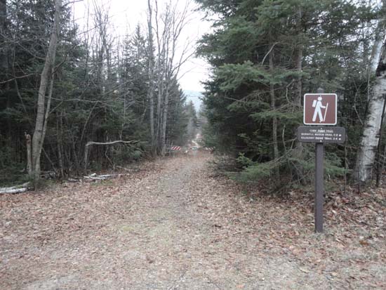 The York Pond Trail trailhead