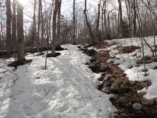 Looking up the Clark Trail