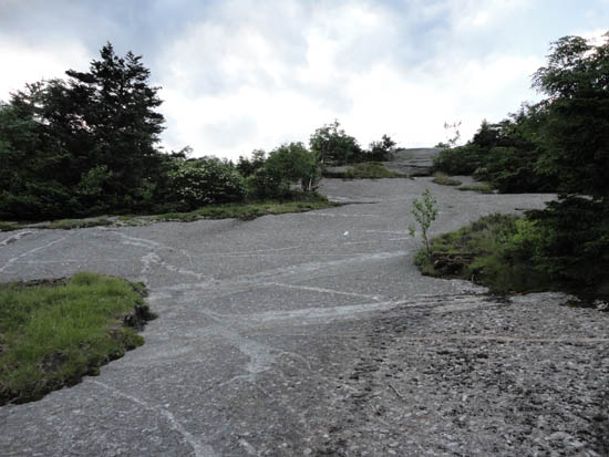 Looking up the Clark Trail