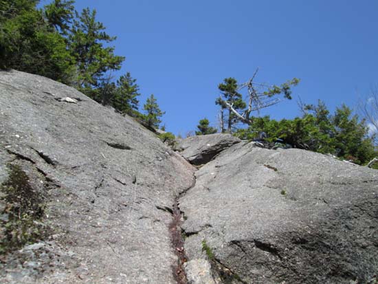 Looking up the Holt Trail