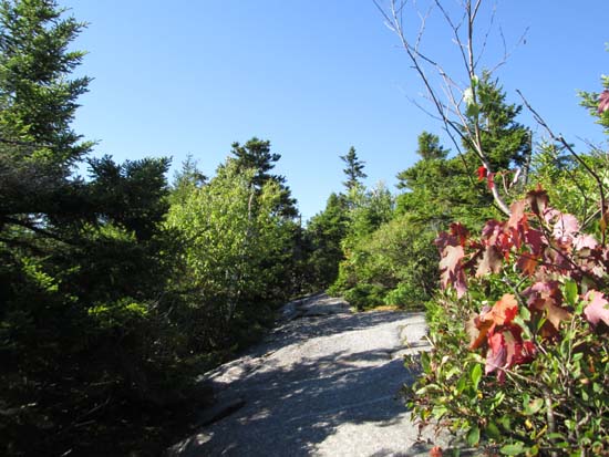 Looking up the West Ridge Trail
