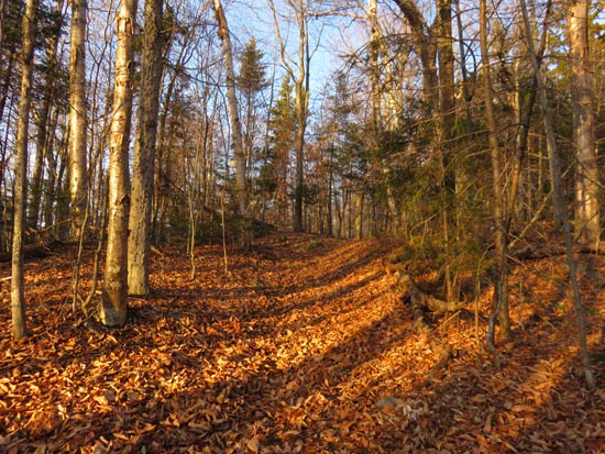 Looking up the old Jeep Road