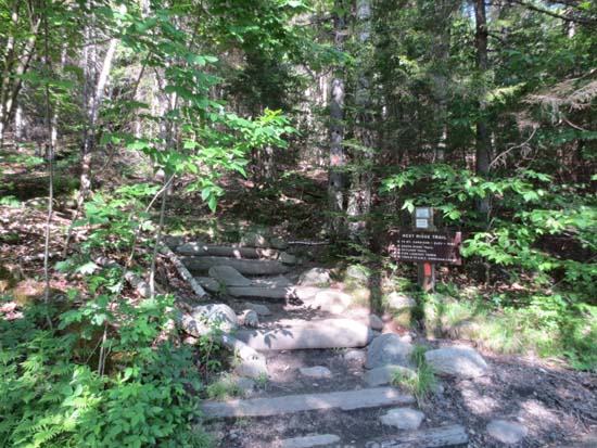 The West Ridge Trail trailhead