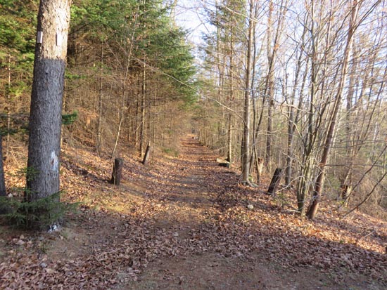 The start of the Jeep Road