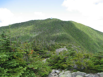 On the Signal Ridge Trail looking at Mt. Carrigain