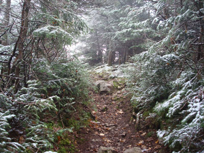 Early winter near the top of the Signal Ridge Trail