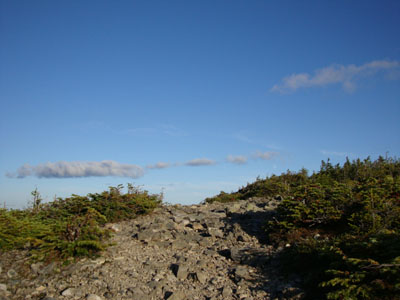 The Signal Ridge Trail
