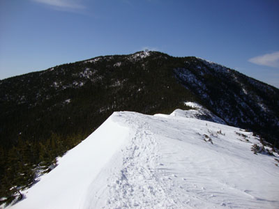 The drifted Signal Ridge Trail