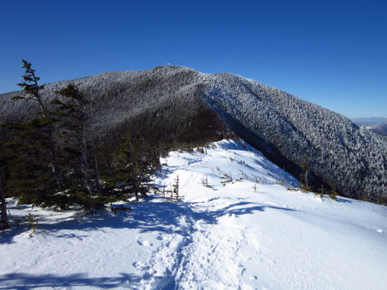 The Signal Ridge Trail