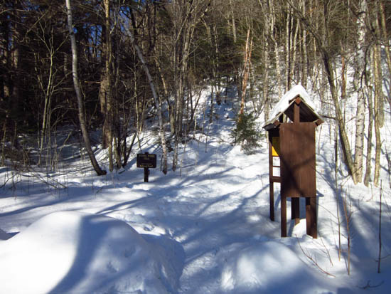 Signal Ridge Trail trailhead on Sawyer River Road