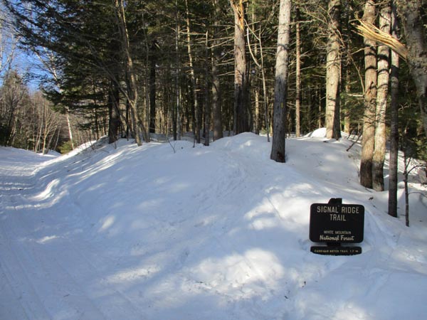 Signal Ridge Trail trailhead on Sawyer River Road