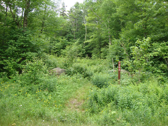 The Tunnel Brook Trail north trailhead