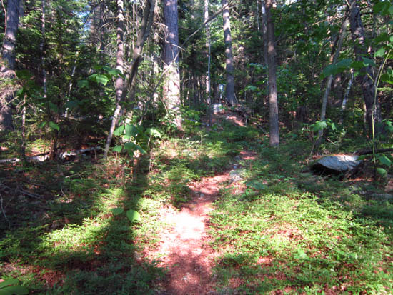 The Yellow Trail to Mt. Crag