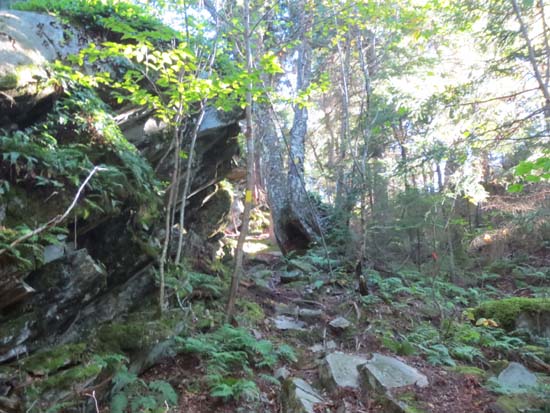 The trail from Bald Knob to Mt. Crosby