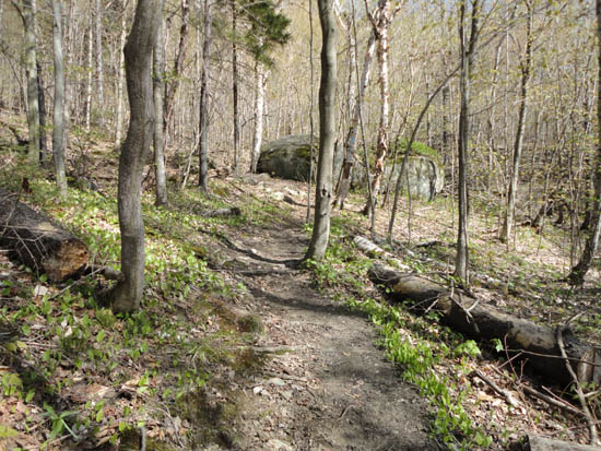 The Cross-Rivendell Trail