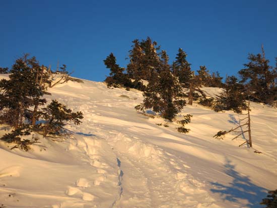 The Cross-Rivendell Trail near the summit