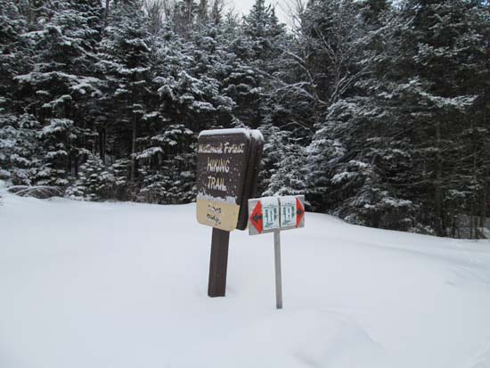 Entering the woods near the height of land on Jefferson Notch Road
