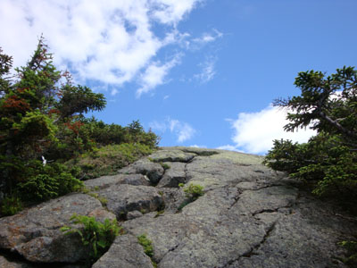 Looking up the spur trail to the Mt. Davis viewpoint