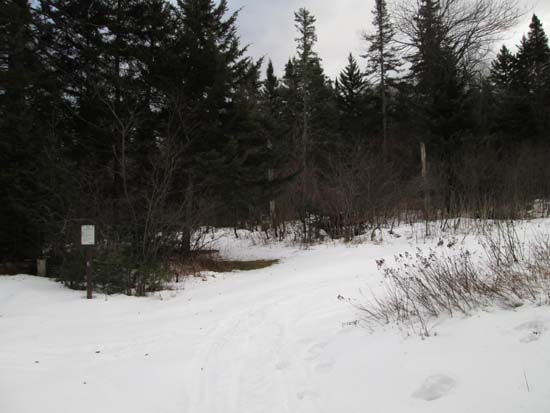 Camp site 6 on Cherry Mountain Road