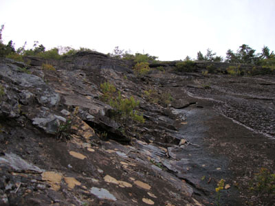 Looking up the slide near the Mt. Osceola Trail