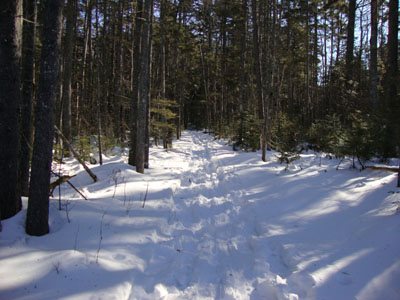 Looking up the Greeley Ponds Ski Trail on the way to Mt. Osceola's East Peak