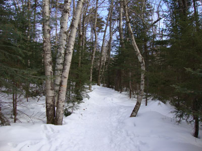 Looking up the Greeley Ponds Trail on the way to Mt. Osceola's East Peak
