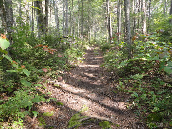The Greeley Ponds Trail