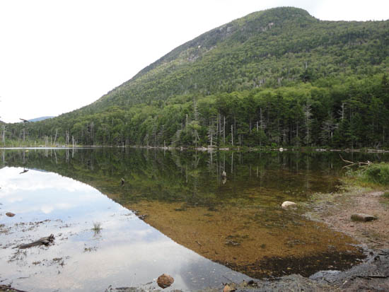 Lower Greeley Pond