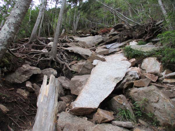 The heavily eroded Greeley Ponds Trail