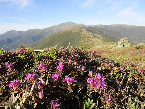Looking north from Mt. Eisenhower - Click to enlarge