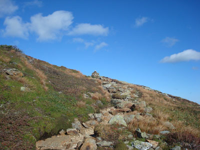 Looking up the Mt. Eisenhower Loop trail