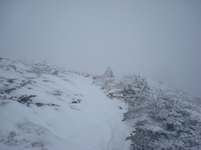 Looking up the Mt. Eisenhower Loop trail