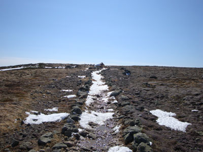 The Crawford Path on the way to Mt. Eisenhower