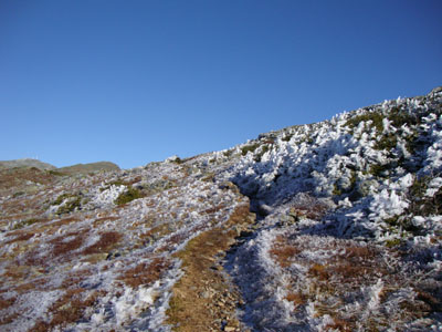 The Crawford Path on the way to Mt. Eisenhower