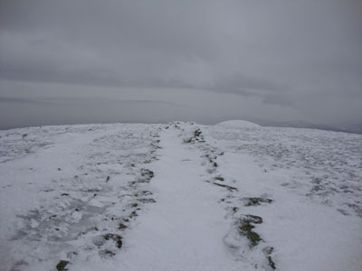 The Crawford Path on the way to Mt. Eisenhower