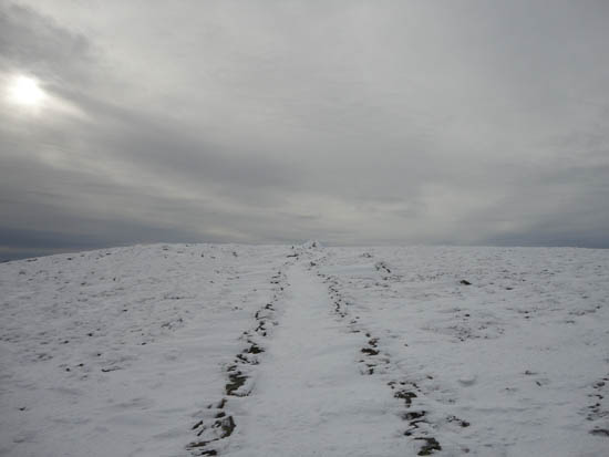 The Crawford Path on the way to Mt. Eisenhower