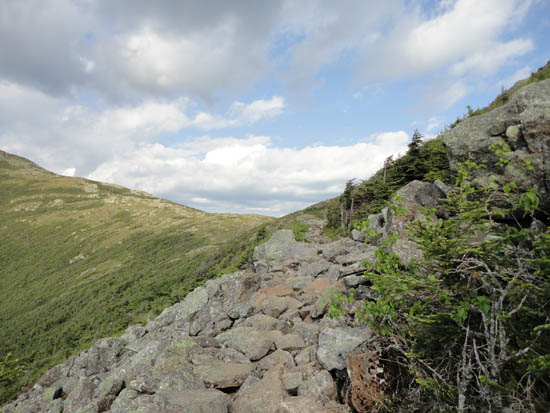 Looking up the Edmands Path