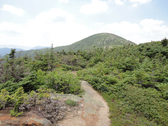 Looking up the Mt. Eisenhower Trail