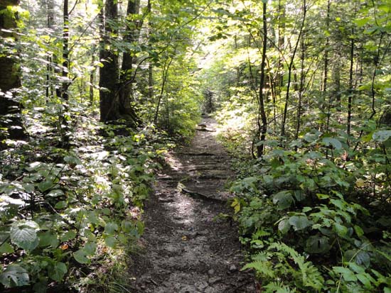 Looking up the Edmands Path