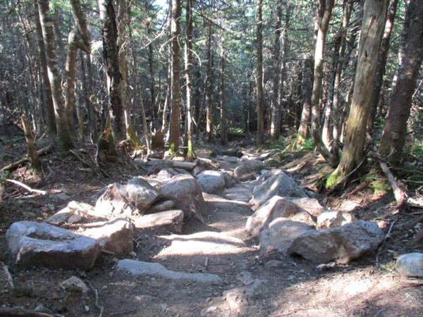 Looking down a recently rebuilt section of the Crawford Path