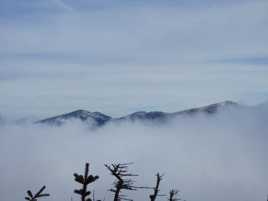 The Presidentials as seen from the Mt. Field viewpoint - Click to enlarge