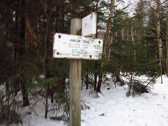 The Avalon Trail trailhead next to the train station