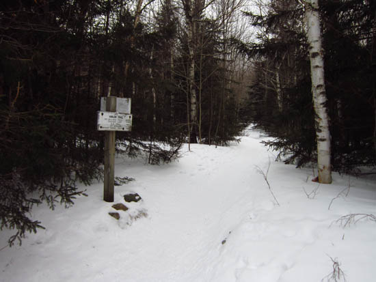 The Avalon Trail trailhead next to the train station