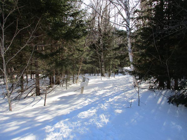The Avalon Trail trailhead next to the train station